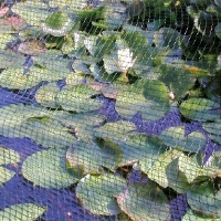 Laubschutznetz, incl. Netzhalter