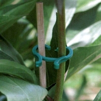 Tomaten- und Blumenbindeclips