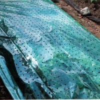 Pflanz- und Frühbeetfolie