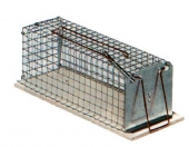 Drahtkasten-Rattenfalle