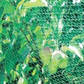 Vogel- und Ernteschutznetz