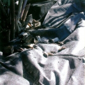 Unkraut- und Trennvlies